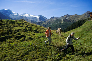 Zillertaler Sommer